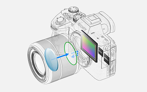 Sensor de la cámara Sony a7 III