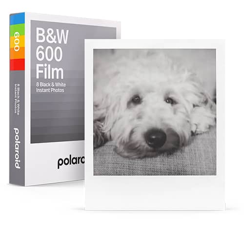 Black & White 600 fotografía